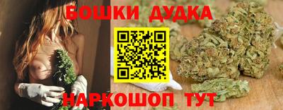 PSILOCYBIN Пугачёв