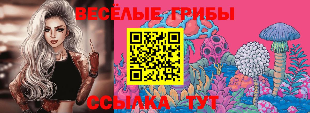 Псилоцибиновые грибы Psilocybe Сафоново